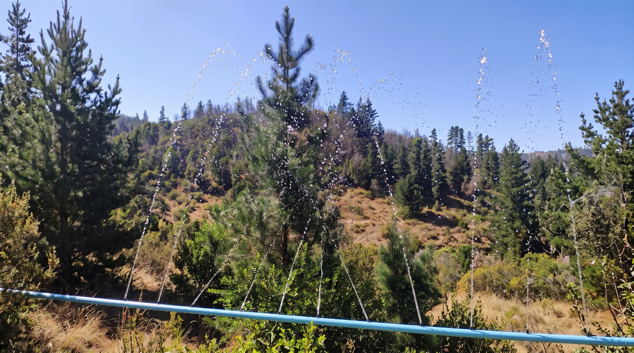 Tubería horizontal con múltiples aspersores formando una cortina de agua frente a una ladera forestal